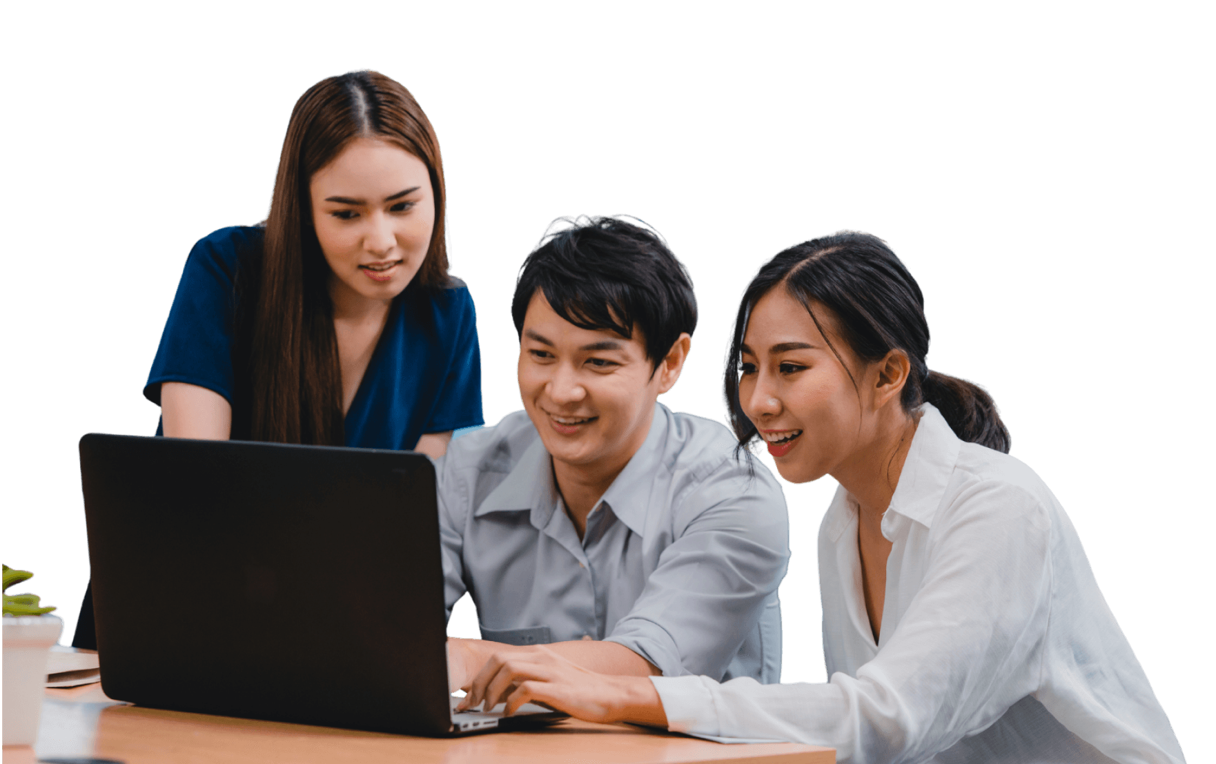 Bootcamp & Webinar